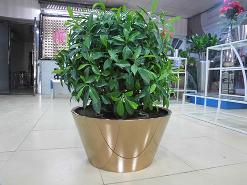 廣東汕頭不銹鋼花盆哪家做的好？